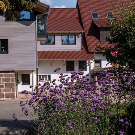 Saunaloft Schwarzwald Gemeinde Gemeinde Aichhalden Kültér fotó