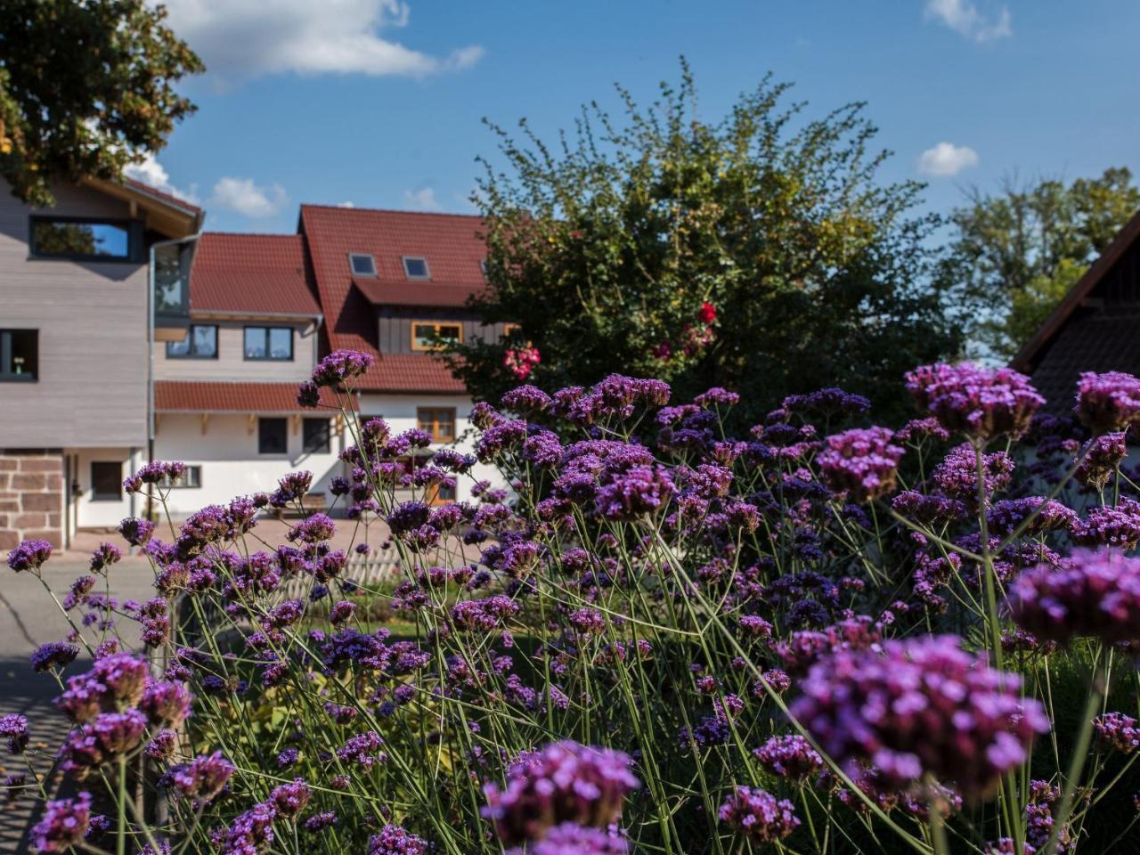 Saunaloft Schwarzwald Gemeinde Gemeinde Aichhalden Kültér fotó