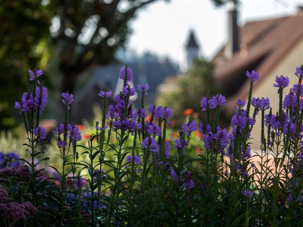 Saunaloft Schwarzwald Gemeinde Gemeinde Aichhalden Kültér fotó