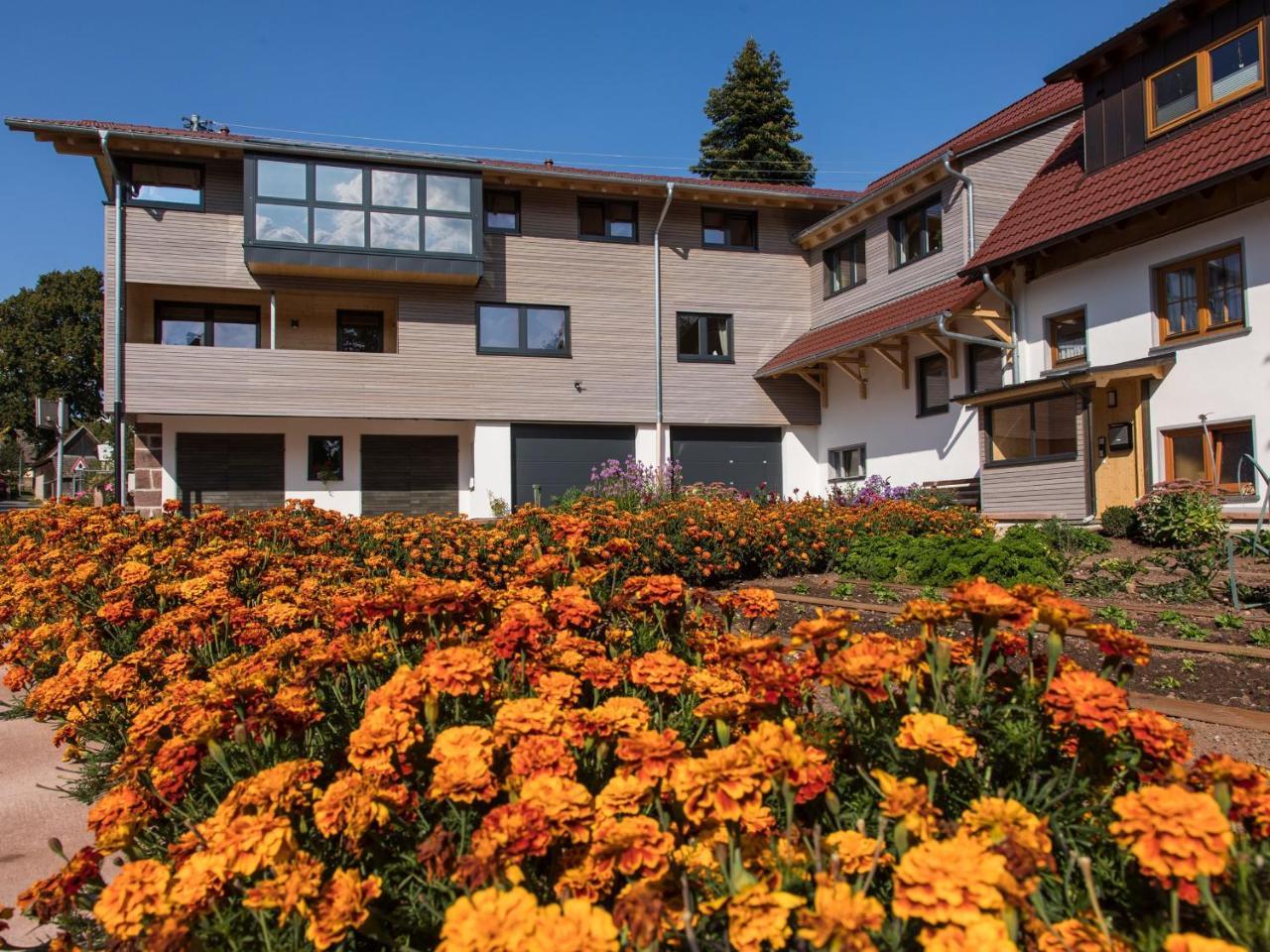 Saunaloft Schwarzwald Gemeinde Gemeinde Aichhalden Kültér fotó